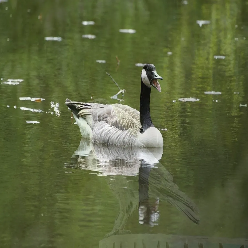 코인 투자 그래프