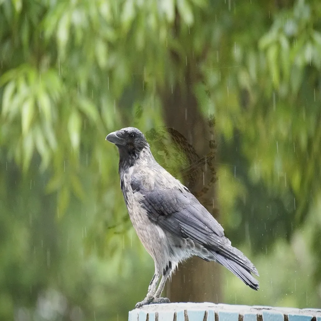 채무로 힘겨워하는 사람